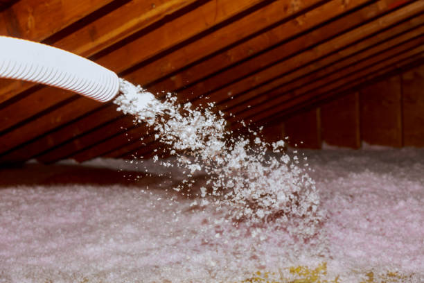 Best Residential Insulation Services  in Pearl River, MS