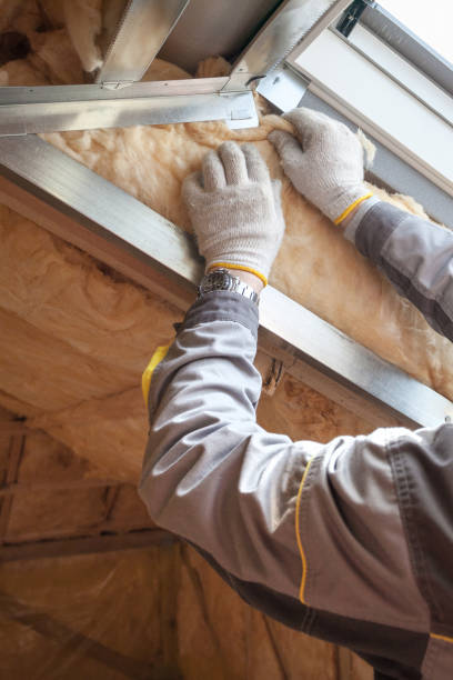 Insulation Contractors for Homes in Pearl River, MS