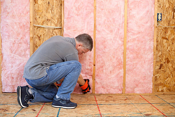 Insulation Replacement Services in Pearl River, MS