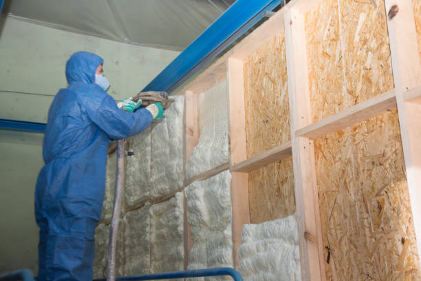 Best Attic Insulation Installation  in Pearl River, MS