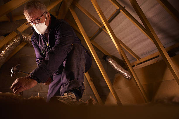 Trusted Pearl River, MS Insulation Contractor Experts